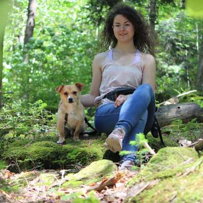 Hundetreffen-Gassifreunde gesucht🐕☀️-Bild
