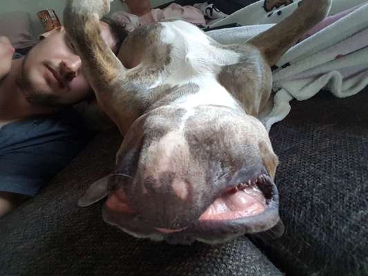 Die unbequemsten und lustigsten Schlafpositionen-Beitrag-Bild