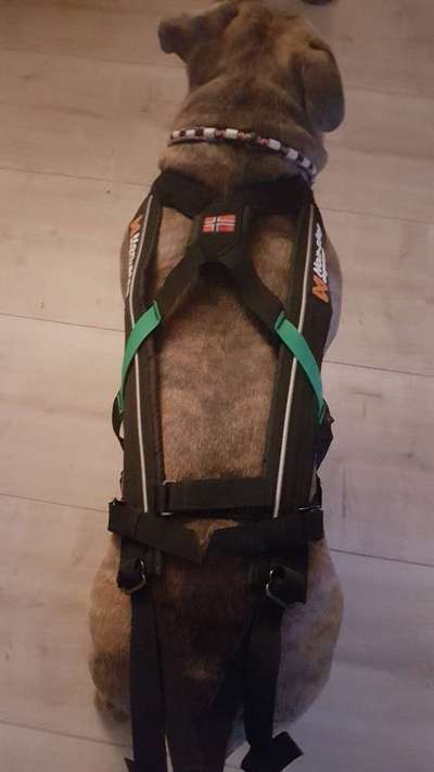 Geschirr Empfehlung-Beitrag-Bild