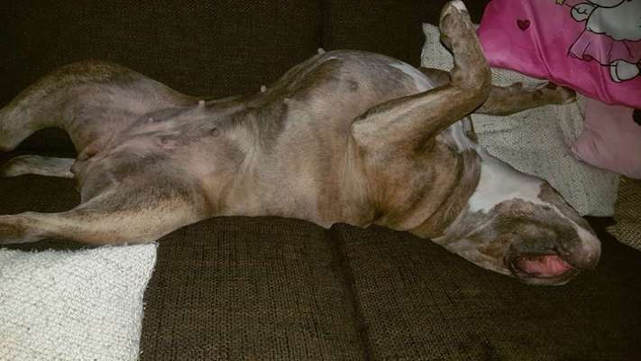 Die unbequemsten und lustigsten Schlafpositionen-Beitrag-Bild