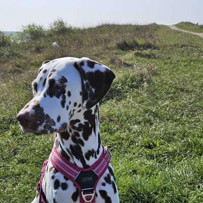 Tanja's Profilbild