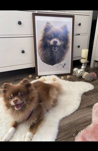 Zeichnungen Eurer Hunde !?-Beitrag-Bild