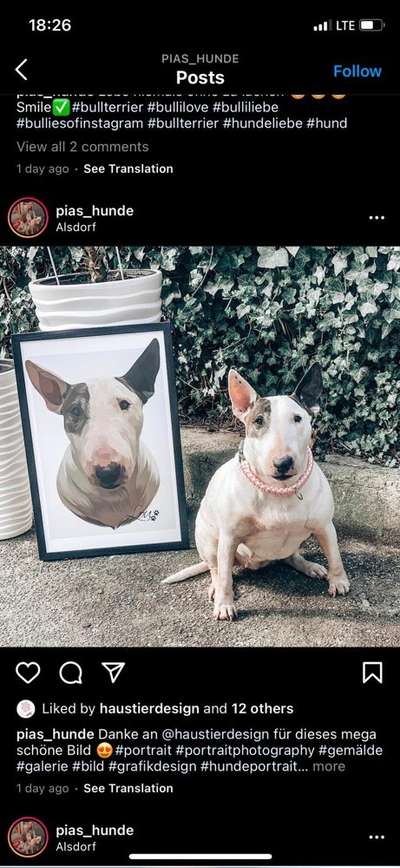 Zeichnungen Eurer Hunde !?-Beitrag-Bild