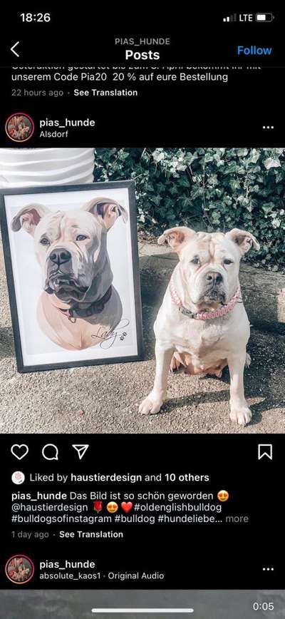 Zeichnungen Eurer Hunde !?-Beitrag-Bild