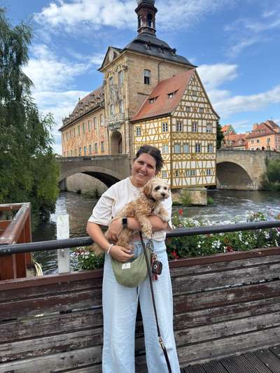 Hundetreffen-DogMoms/Dads Treff mit gemeinsamen Spaziergang-Bild