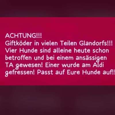 Giftköder-Giftköder Glandorf-Bild