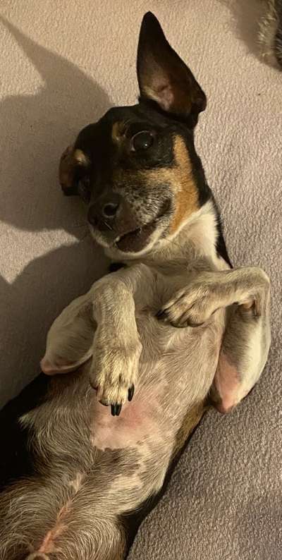 Lieblingsbild-Beitrag-Bild