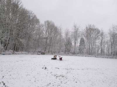 Hundeauslaufgebiet-Hubeweg-Bild