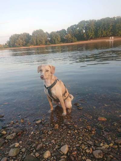 28. Farben Foto Challenge * BEIGE *-Beitrag-Bild