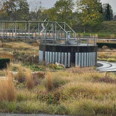 Hundetreffen-Husky Spiele-Treffen und gleich / ähnliche Power-Bild