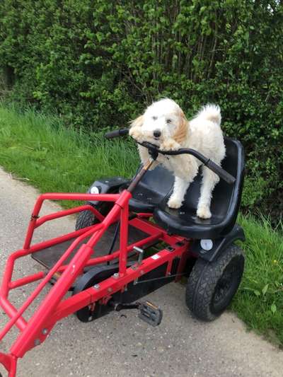 11. Farben Foto Challenge Rot-Beitrag-Bild