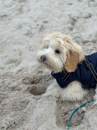 22. Collagen Challenge- Lebensfreude-Beitrag-Bild