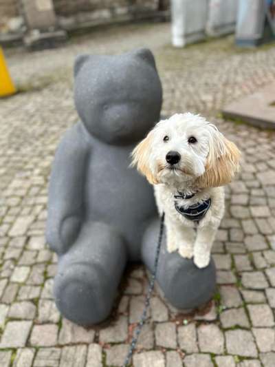 13. Farben-Fotochallenge "Grau"-Beitrag-Bild