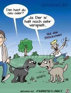 Hunde Memes-Beitrag-Bild