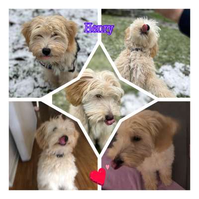 Tongue Out Tuesday-Beitrag-Bild