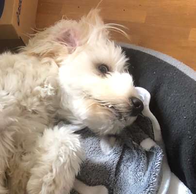 150. Foto Challaenge:  Die Augen, der Spiegel der Seele-Beitrag-Bild