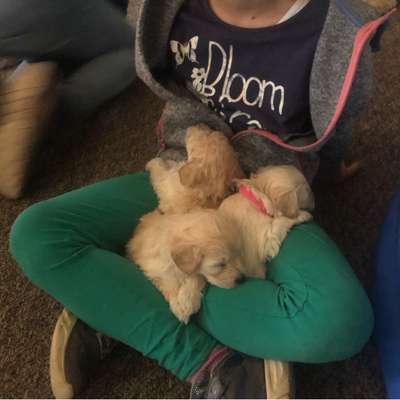 Fotochallenge 130-Beitrag-Bild