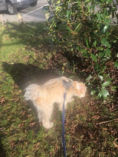 Lustige Grimassen & verrückte Posen-Beitrag-Bild