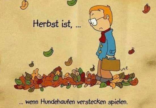 Hunde Memes-Beitrag-Bild