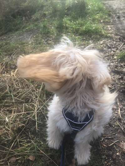 Lustige Grimassen & verrückte Posen-Beitrag-Bild