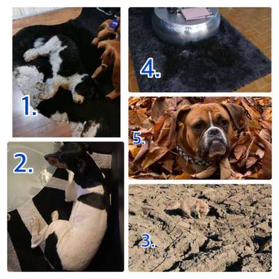 Ton in Ton-Beitrag-Bild