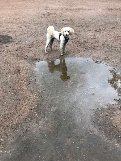 Eure schönsten Fotos mit Wasser-Beitrag-Bild