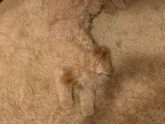 Ton in Ton-Beitrag-Bild