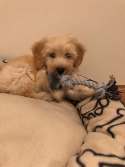 28. Handy-Fotochallenge - Damals und heute-Beitrag-Bild