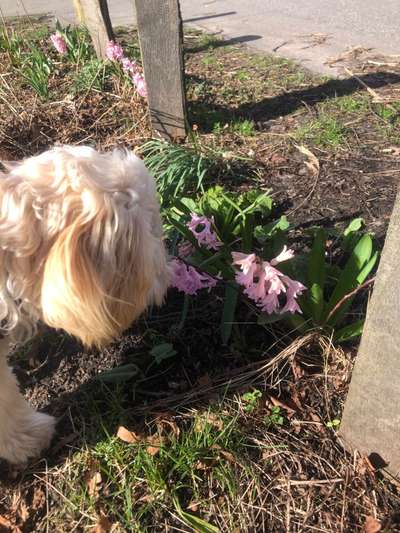 Fotochallenge 129-Beitrag-Bild