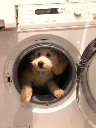 Foto Challenge Nr. 136-Beitrag-Bild