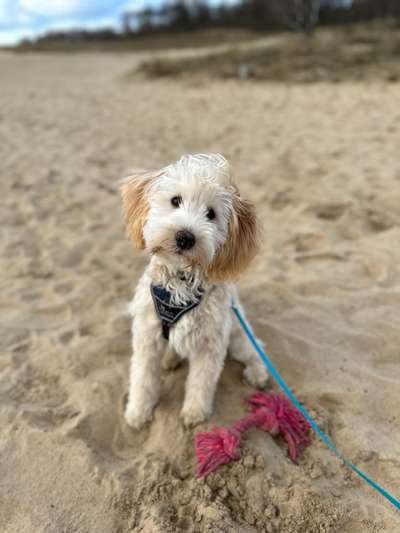 48. Collagen Challenge: Das Leben ist bunt-Beitrag-Bild