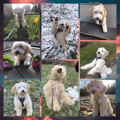 32. Collagen Challenge - eure liebsten gestellten Fotos-Beitrag-Bild