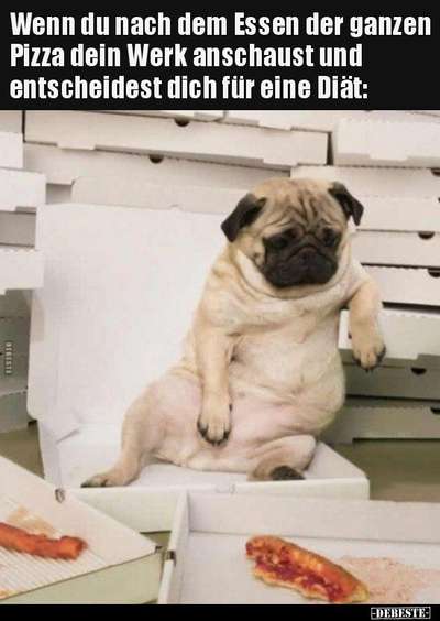 Hunde Memes-Beitrag-Bild