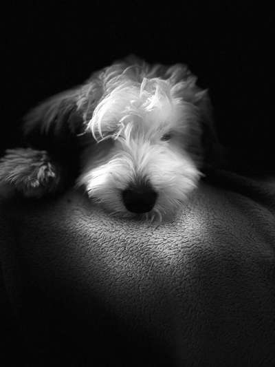 3. Farben/Fotochallenge: Schwarz/Weiß-Beitrag-Bild