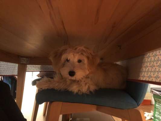 Lustige Grimassen & verrückte Posen-Beitrag-Bild