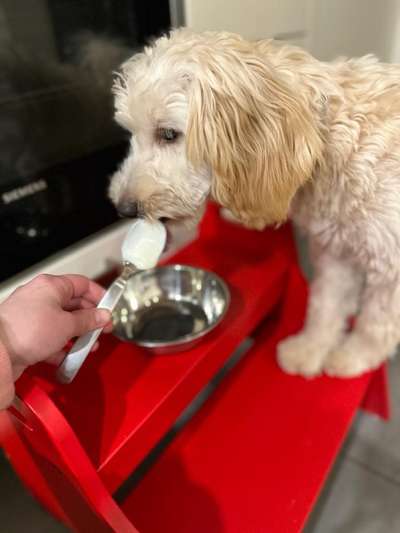 48. Collagen Challenge: Das Leben ist bunt-Beitrag-Bild