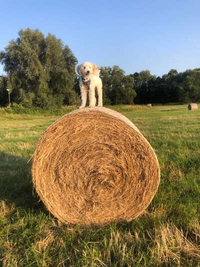 64. Handy Foto Challenge - Hoch hinaus-Beitrag-Bild