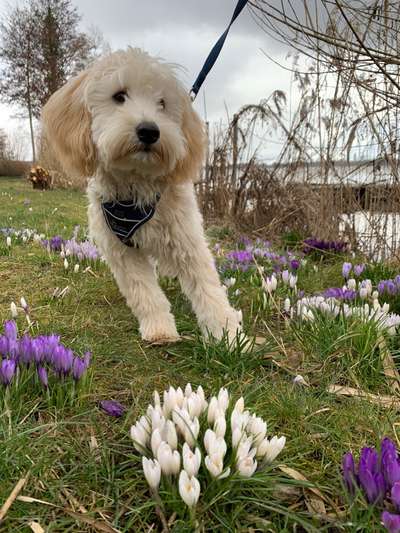 Fotochallenge Nr. 126-Beitrag-Bild