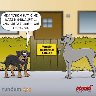 Hunde Memes-Beitrag-Bild