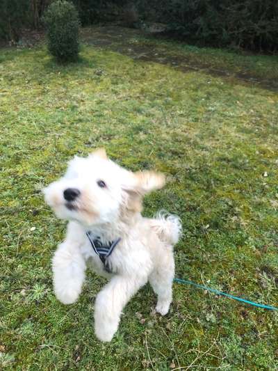 Farben Fotochallenge Thema ,,Grün"-Beitrag-Bild