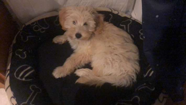 147. Foto Challenge: Bettelblick-Beitrag-Bild