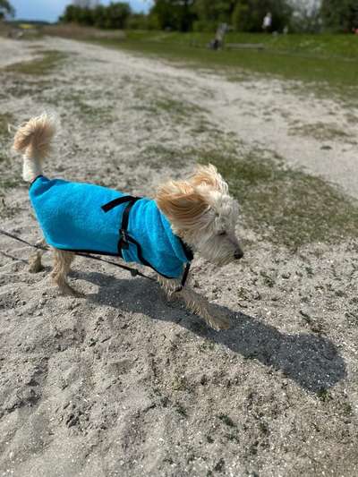 43. Collage Challenge - Schattenspiele-Beitrag-Bild