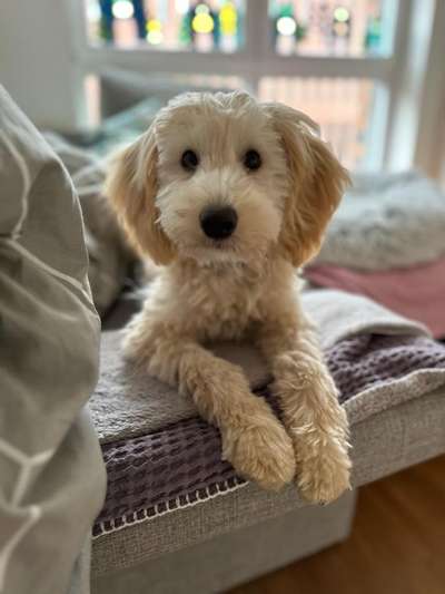 23. Collagen-Challenge: Portraits-Beitrag-Bild