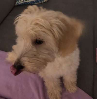 18. Collagen Challenge - Zunge raus!-Beitrag-Bild