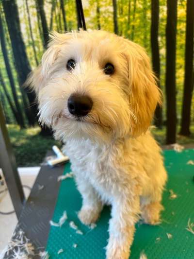 48. Collagen Challenge: Das Leben ist bunt-Beitrag-Bild