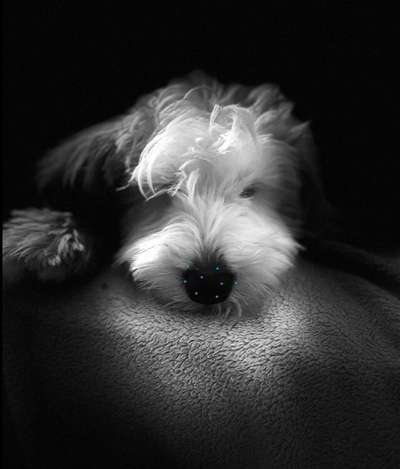 6. Farben Foto Challenge: "ColourKey Effekt"-Beitrag-Bild