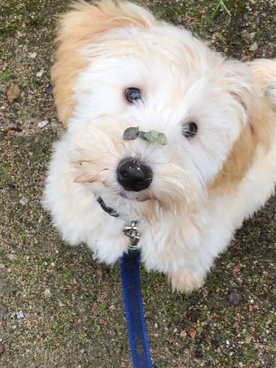 20. Collagen Challenge - "Lustige Schnappschüsse"-Beitrag-Bild