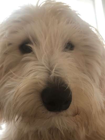 42. Handy Fotochallenge - Den richtigen Riecher haben-Beitrag-Bild