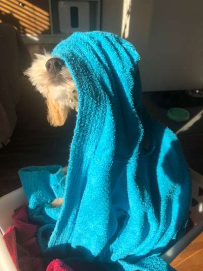 143. Fotochallenge: Ja, wo isser denn?-Beitrag-Bild