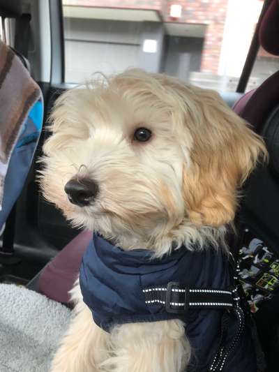 117. Fotochallenge-Beitrag-Bild